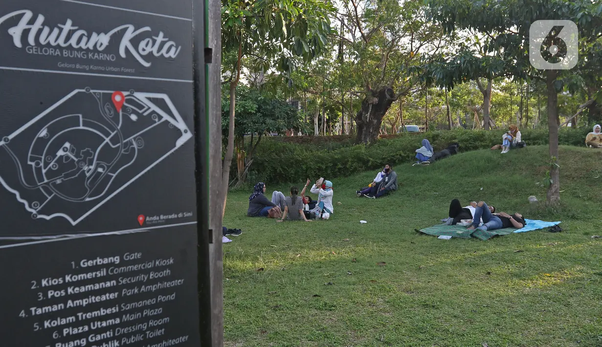 Warga beraktivitas di area hutan kota di Kompleks Gelora Bung Karno, Senayan, Jakarta, Sabtu (22/08/2020). Pengunjung memanfaatkan pemandangan dan suasana Hutan Kota GBK untuk menghabiskan libur akhir pekan di tengah pandemi Covid-19. (Liputan6.com/Herman Zakharia)