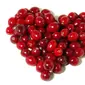 Buah Cranberry (Foto: http: ayysa.com)