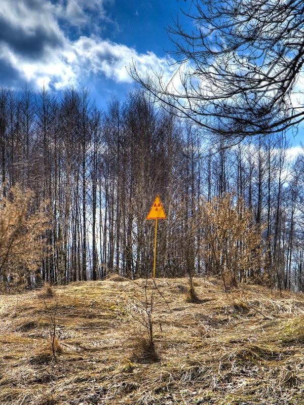 Rambu peringatan radioaktivitas di sebuah bukit di ujung timur Red Forest atau Hutan Merah di Chernobyl. (Creative Commons)