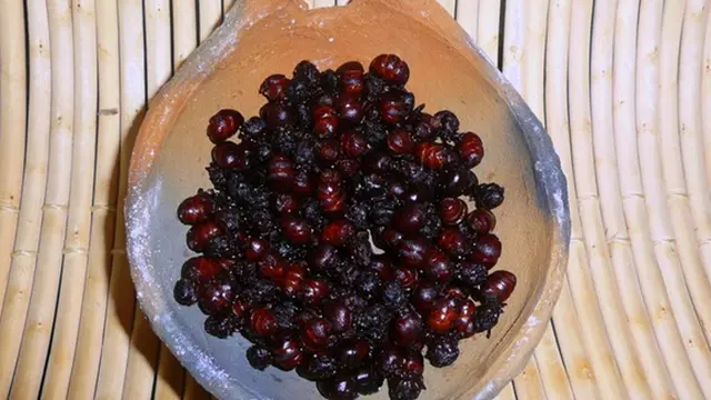 Foto: copyright fotosmundo.com