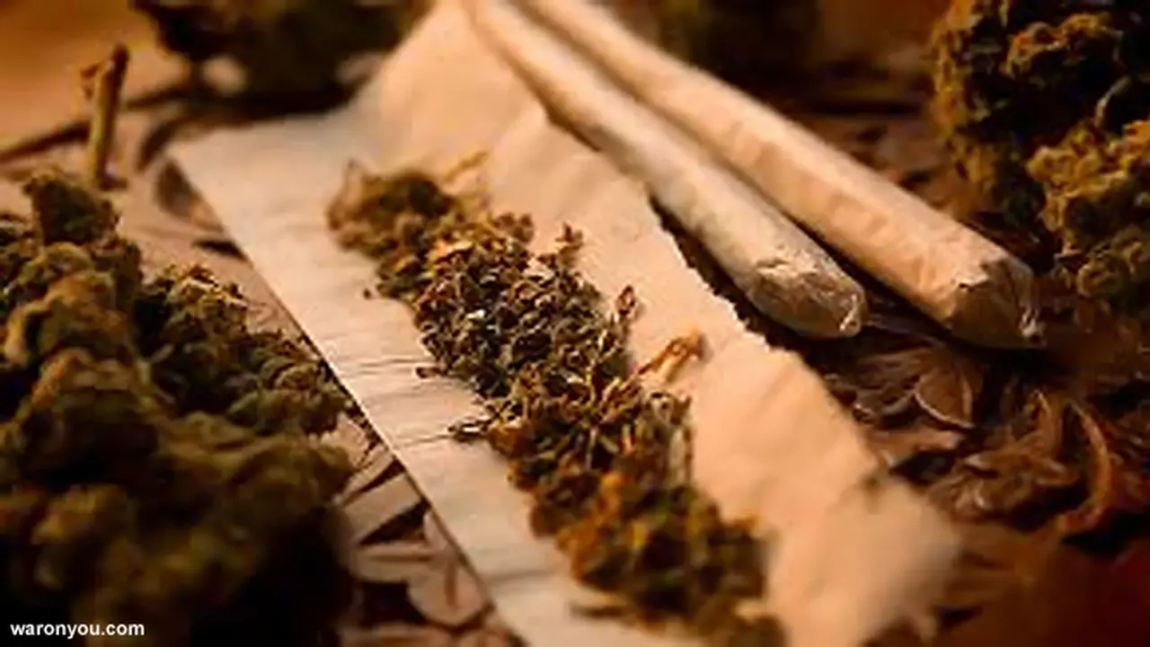 ganja-131018c.jpg