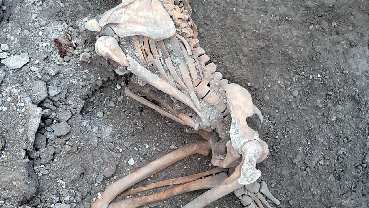Penampakan Dua Kerangka Manusia yang Ditemukan di Pompeii