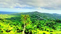 Bukit Cinta menjadi satu dari sekian ribuan wisata di NTT. (Liputan6.com/Ola Keda).