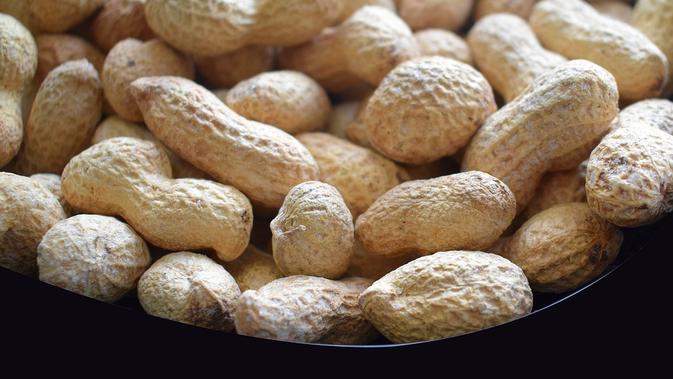 7 Jenis Kacang Yang Aman Dikonsumsi Cocok Untuk Camilan Sehat Hot Liputan6 Com