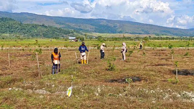 Gandeng Warga Lokal, Badan Bank Tanah Sulap 4 Ha Tanah di Poso jadi Lahan Produktif