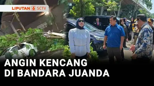 VIDEO: Angin Kencang Tumbangkan Pohon hingga Menimpa Mobil di Bandara Juanda