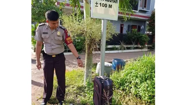 Bayi dalam koper