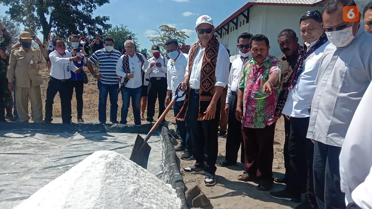Produksi garam