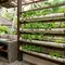 7 Ide Kebun Sayur Vertikal dari Paralon Bekas di Dapur Terbuka, Hemat Tempat dan Mudah Dibuat