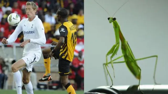 Peter Crouch