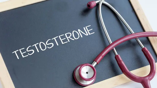 Benarkah Testosteron Bisa Mendongkrak Stamina?