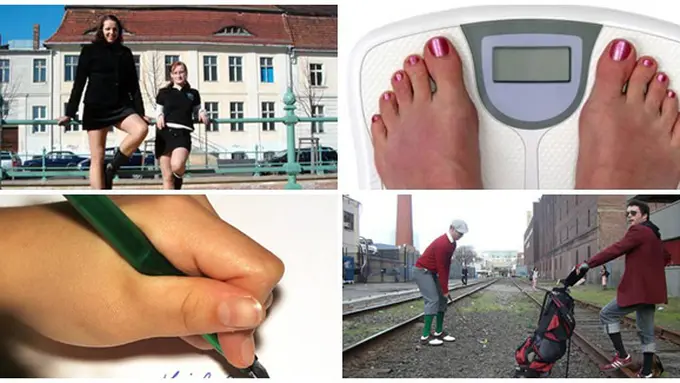 Foto : copyright oddie.com