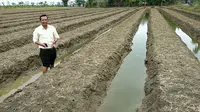 Ribuan hektare (Ha) tanaman milik petani di sebagian wilayah Kabupaten Brebes Jawa Tengah, terancam gagal panen. 