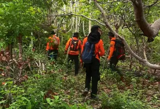 Lansia hilang di hutan Selayar (AntaraNews)