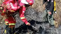 1,6 Hektare Vegetasi Rinjani Terbakar