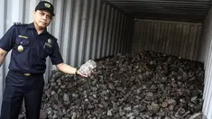 Petugas Bea dan Cukai menunjukan barang bukti berupa minerba ilegal, Tanjung Priok, Jakarta, Rabu (5/11/2014) (Liputan6.com/Faizal Fanani)