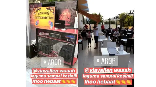 Via Vallen