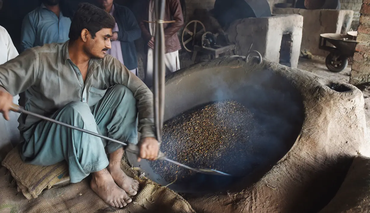 Seorang pedagang Pakistan memanggang kacang pinus di pasar di Lahore (13.12). Pakistan merupakan salah satu penghasil kacang pinus terbaik di dunia. (AFP Photo/Arif Ali)