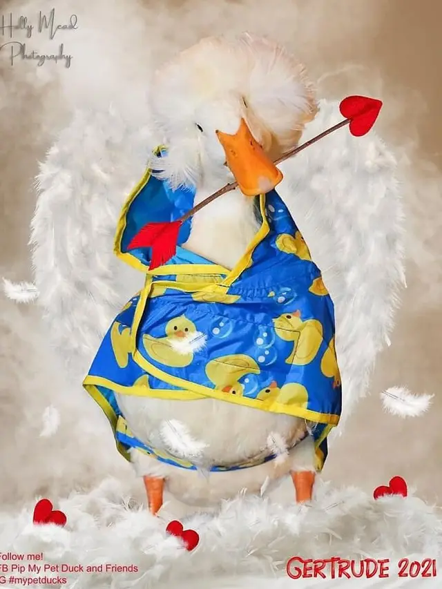 Punya Jambul Unik, Ini 6 Potret Gertrude Bebek yang Sering Jadi Bintang Iklan