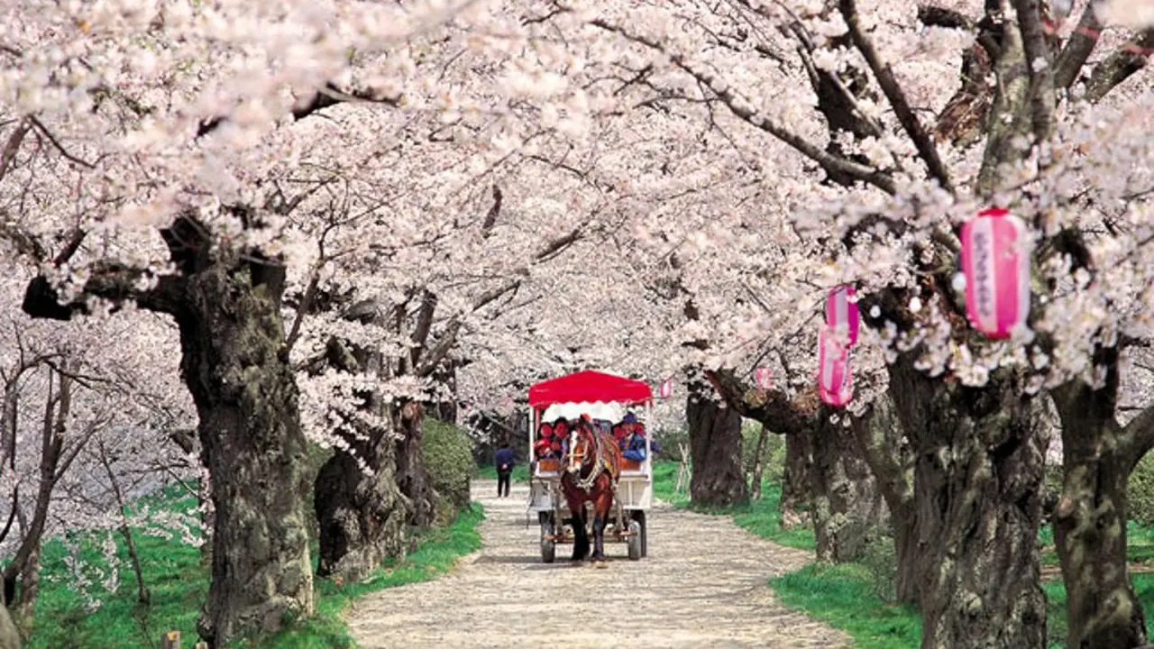[Bintang] Jepang