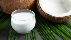 Santan untuk Rambut: Khasiat, Manfaat, dan Cara Pemakaiannya untuk Hasil Paling Efektif