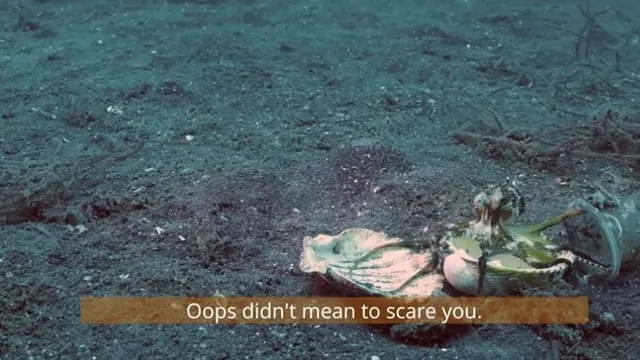 Sampah plastik