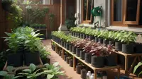 8 Tanaman Ini Membuat Kebun Rumah Kecil Lebih Subur, Hijau Alami dan Mudah Dirawat