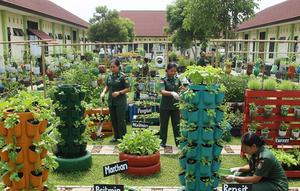 Kebun Sayur untuk Ibu Persit di Komplek TNI (Gemini AI)