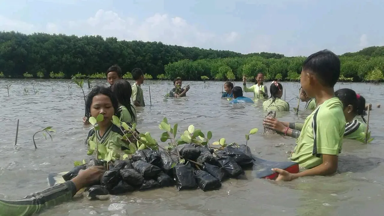 Manuver Luar Biasa Raja 3,5 Juta Mangrove Pantura