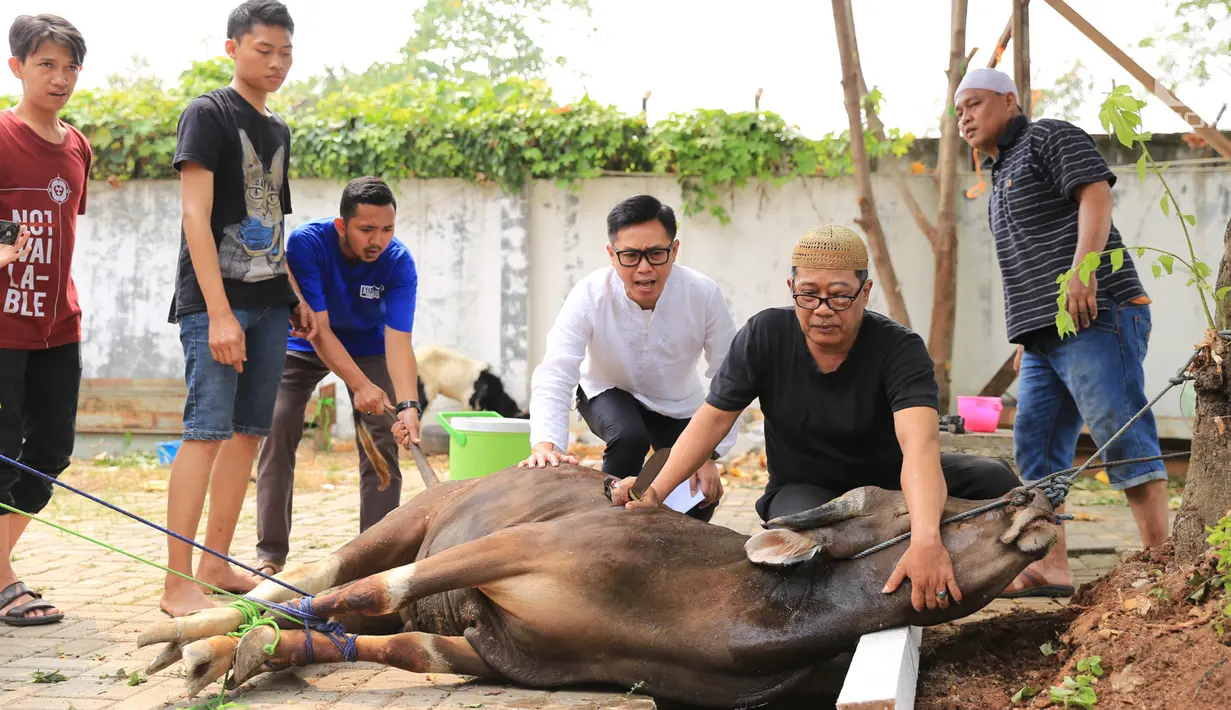 Presenter Eko Patrio saat melihat proses pemotongan hewan kurban di kawasan Cipinang, Jakarta, Jumat (1/9). Idul Adha 1438 H Eko Patrio berkurban di beberapa tempat. (Liputan6.com/Herman Zakharia)