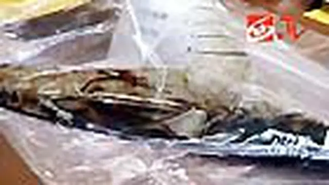 Pembunuh WN Singapura Diringkus