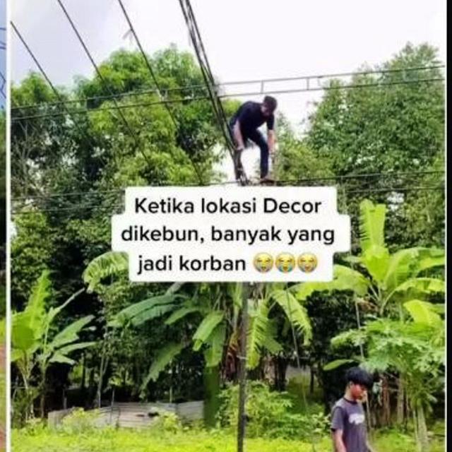 Kebun Belakang Rumah Disulap Jadi Tempat Pernikahan, Hasilnya Seperti Hotel Bintang 5