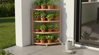 10 Model Kebun Sayur Mini Memakai Rak Kayu Tingkat Hemat Ruang, Solusi Lahan Sempit