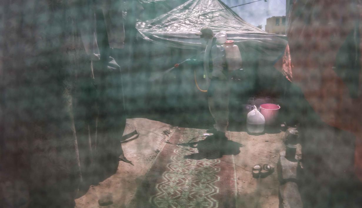 Keterbatasan sumber daya memaksa para pengungsi menggunakan metode tradisional atau seadanya untuk melawan invasi hama tersebut. Tampak dalam foto, seorang pengungsi Palestina menyemprotkan cairan disinfektan pada jalan setapak dan tenda-tenda untuk membasmi serangga dan hewan pengerat di kamp pengungsian Khan Yunis, Jalur Gaza Selatan pada Rabu 22 April 2026. (Bashar Taleb/AFP)