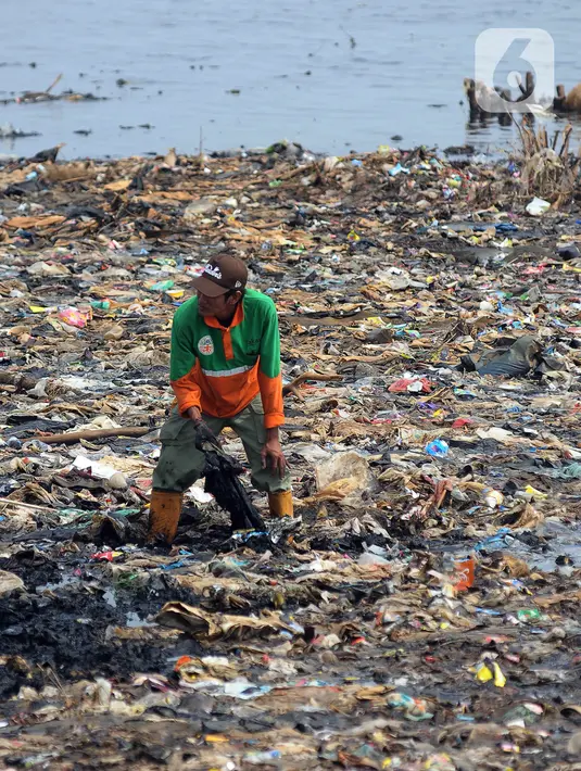 Sampah-sampah diangkut secara estafet mulai dari orang, dipindahkan ke perahu kecil, lalu diangkut oleh kapal besar dengan kapasitas muatan 90 ton. Nantinya, sampah-sampah itu dibawa oleh mobil truk sampah. (merdeka.com/Imam Buhori)