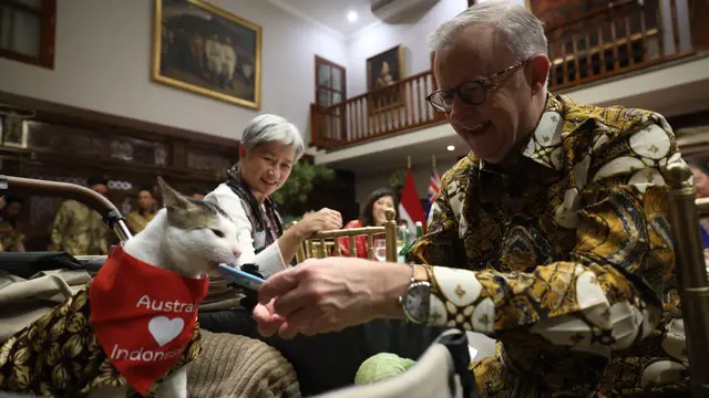 Perdana Menteri (PM) Australia Anthony Albanese memberikan hadiah untuk kucing Presiden Prabowo Subianto, Bobby Kertanegara.