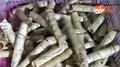 liputan6