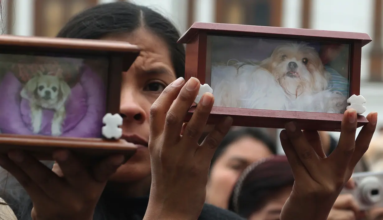 Seorang wanita memegang foto anjingnya yang sakit selama pemberkatan hewan peliharaan di luar gereja San Francisco di Lima, Peru, Minggu (6/10/2019). Pemberkatan hewan ini untuk menghormati Santo Fransiskus yang dikenal sebagai santo pelindung bagi binatang dan lingkungan hidup. (AP/Martin Mejia)