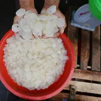 Pedagang menunjukkan kolang-kaling di Pasar Induk Kramat Jati, Jakarta, Jumat (10/5/2019). Memasuki bulan suci Ramadan, pedagang kolang-kaling kebanjiran pembeli. (merdeka.com/Imam Buhori)