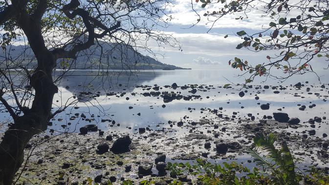 Minyak mencemari pantai di Riviere des Creoles, Mauritius, Minggu (9/8/2020). Mauritius memberlakukan status darurat setelah kapal Jepang, MV Wakashio, kandas dan menumpahkan 1.000 metrik ton minyak mentah. (Sophie Seneque via AP)