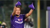 Adem Ljajic Merapat ke Atletico