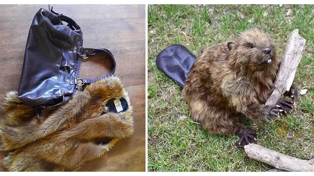 7 Kreasi Boneka Hewan dari Jaket Bulu Ini Unik Banget