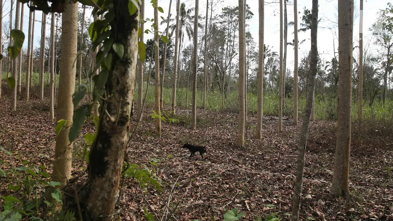 Gunung Agung-Desa Besakih