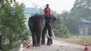 Seorang pria menaiki seekor gajah saat perayaan Hari Gajah Nasional di kota bersejarah, Thailand, (3/11). Perayaan ini merupakan upaya meningkatkan upaya pelestarian gajah.  (REUTERS / Chaiwat Subprasom)