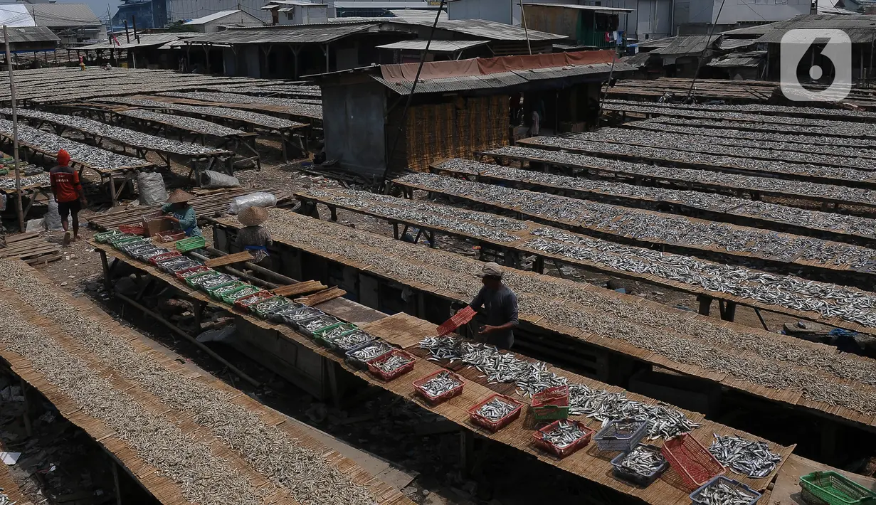 Sedangkan pengeringan ikan asin dengan oven, selain bisa merusak ikan dari segi rasa juga bisa mempengaruhi kualitas. (merdeka.com/Imam Buhori)