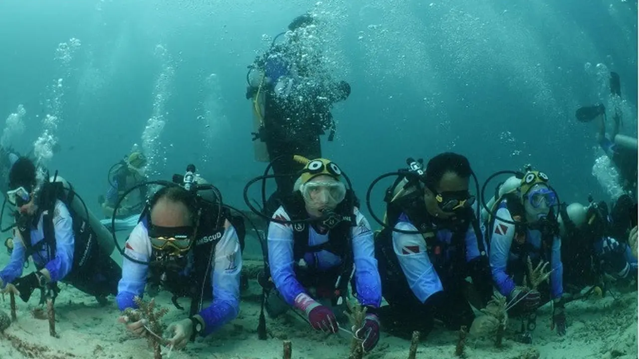 Pulihkan Ekosistem Wisata Laut, Pekerja BRI Lakukan Transplantasi Terumbu Karang di Perairan Kepulauan Sabang