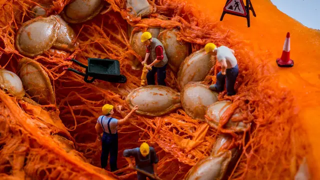 Diorama Berbahan Makanan