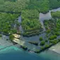 Misteri Kota Kuno di Pulau Terpencil Tengah Samudra Pasifik (Science Channel's What on Earth?)
