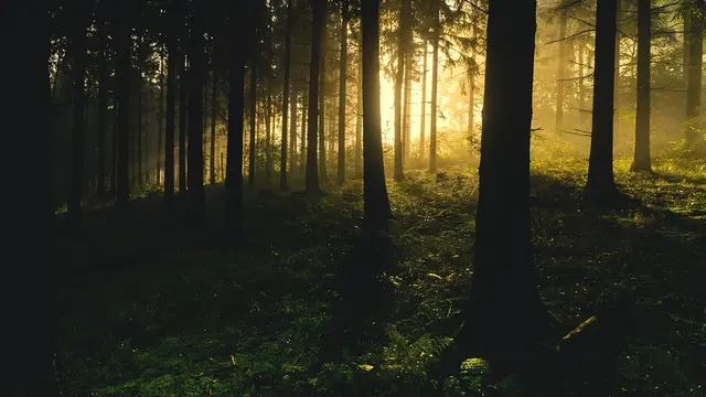 Wisata Alam di Magetan yang Populer