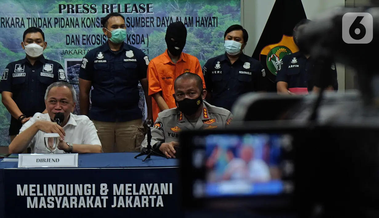 Dirjen Konservasi Sumber Daya Alam dan Ekosistem (KSDAE) Kementerian Lingkungan Hidup dan Kehutanan (KLHK) Wiratno bersama Kabid Humas Polda Metro Jaya Kombes Pol Yusri Yunus saat rilis kasus perdagangan satwa dilindungi di Mapolda Metro Jaya, Kamis (28/1/2021). (Liputan6.com/Herman Zakharia)